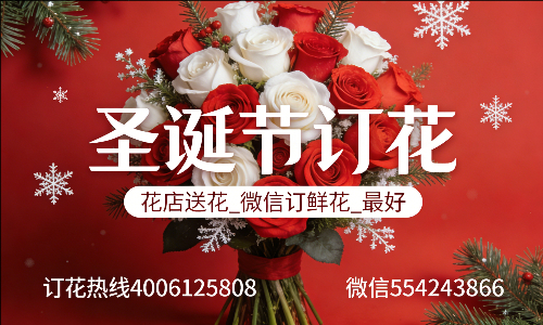 深圳龙华区花店送花_微信订鲜花_圣诞节订花_最好? 深圳龙华区花店