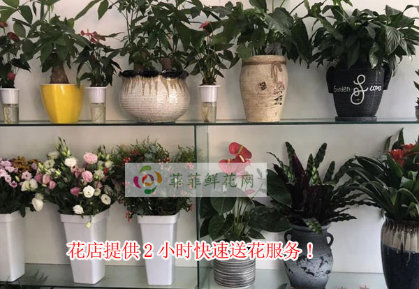 深圳龙华区花店提供深圳龙华区2小时快速送花服务