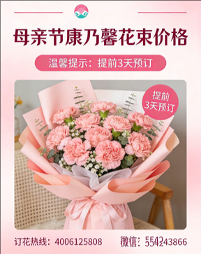 深圳龙华区花店母亲节康乃馨花束