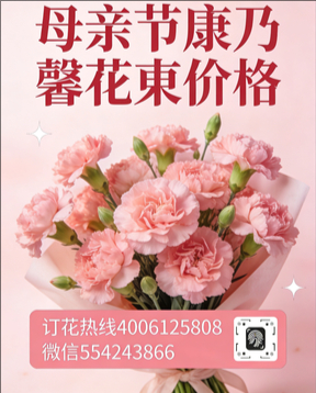 深圳龙华区花店母亲节康乃馨花束